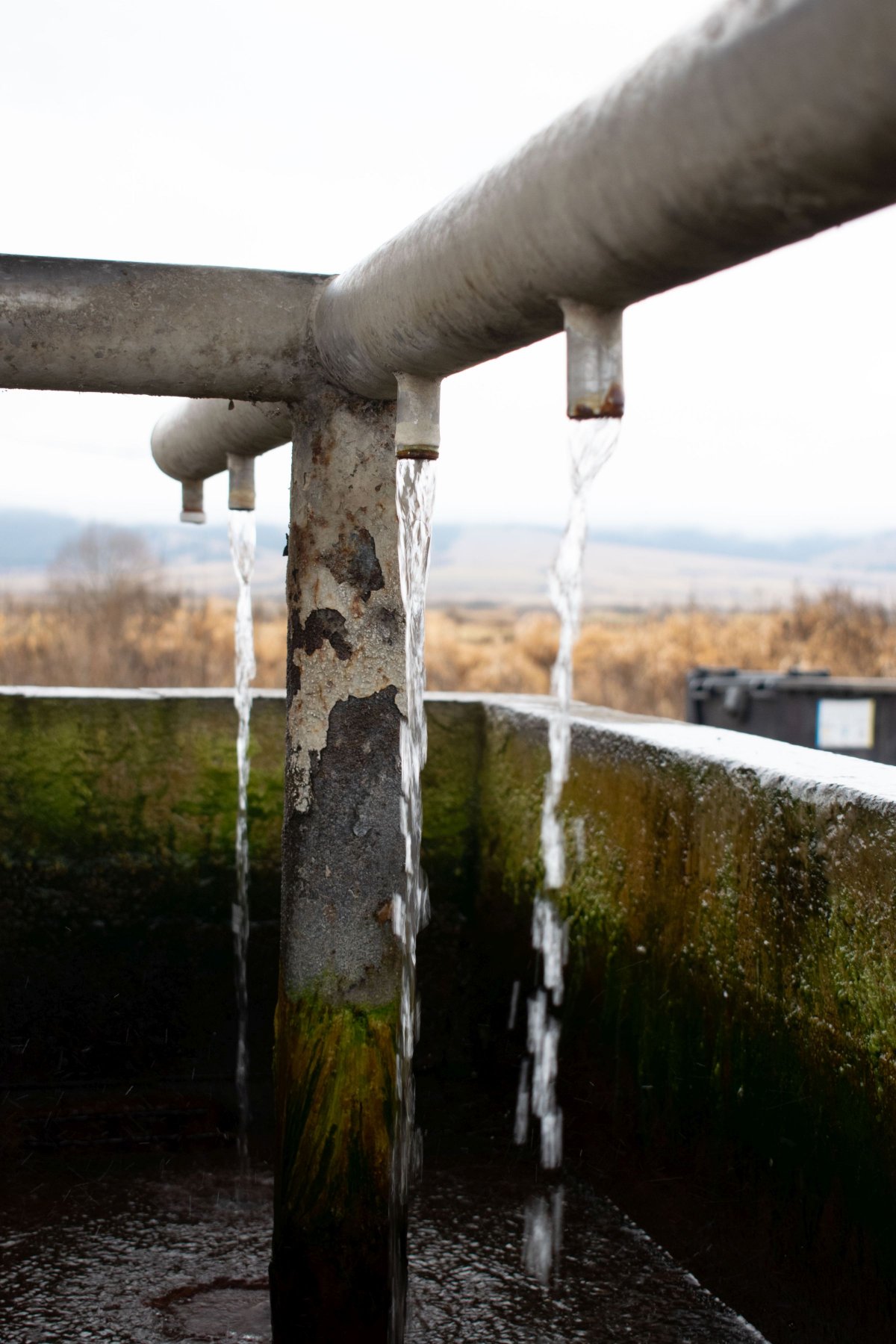 &bullet;  Fotó: Dénes Roland