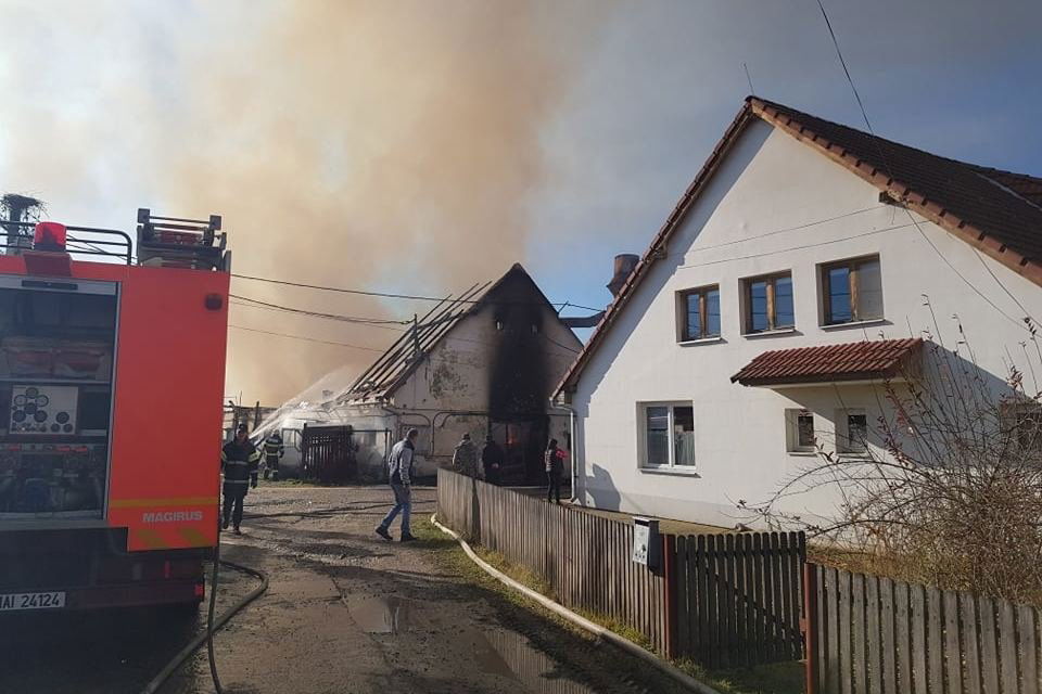 •  Fotó: Fülöp-Székely Botond