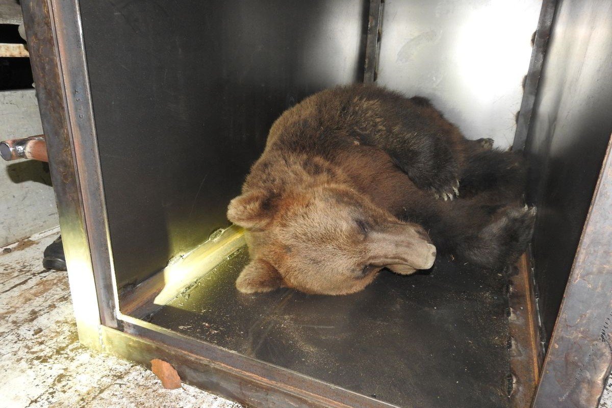 &bullet;  Fotó: Szováta Város Önkormányzata