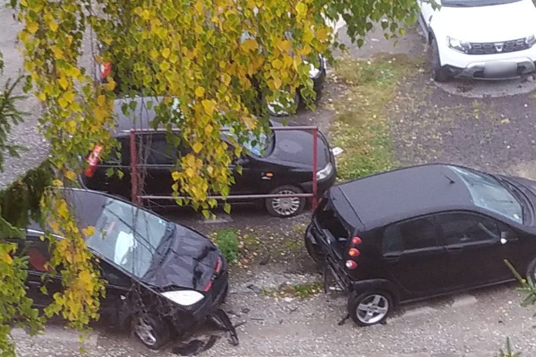•  Fotó: Olvasói felvétel