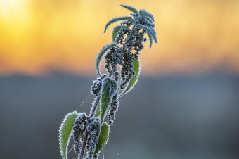 Az idei ősz leghidegebb hajnalával indult a hét