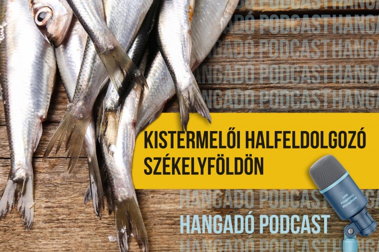 Kistermelői halfeldolgozó Székelyföldön