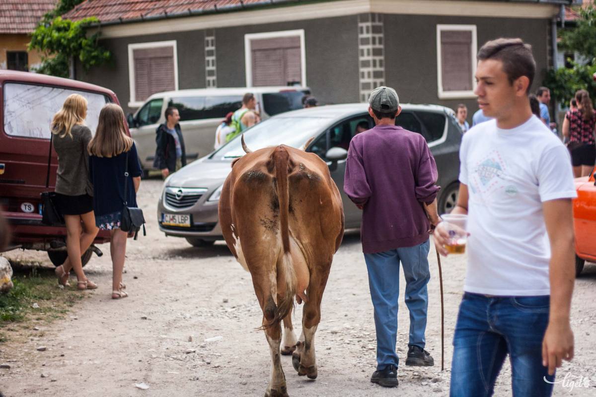 •  Fotó: Tamás Attila