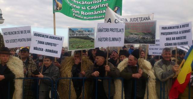 A könnygáz sem csillapította a feldühödött juhászokat