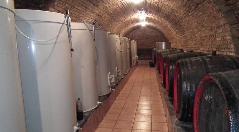 Zichy-örökség: érmelléki bor újratöltve