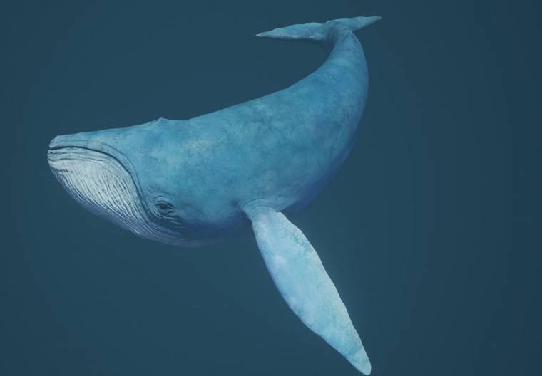 Markó Attila megunta a többszöri vádemelést