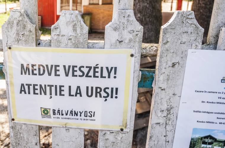 Vadőrök óvják majd a medvéktől a táborozókat