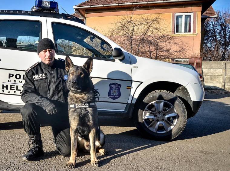 Kétnyelvű mellény a szolgálati kutyán