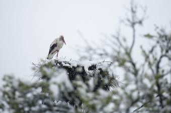 A héten is hideg lesz, igazi tavasz csak április közepétől várható