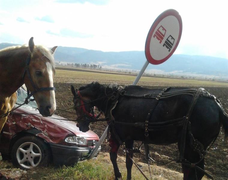 Szekeret ütöttek el Szentegyháza közelében