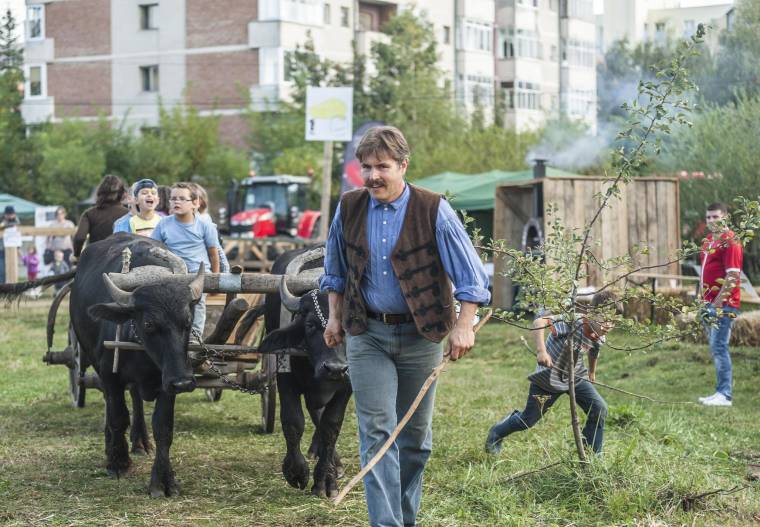 Belekóstoltak a falusi életbe a városiak