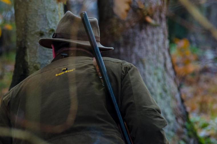 Málnáshoz szokott a medve, rettegnek a lakók