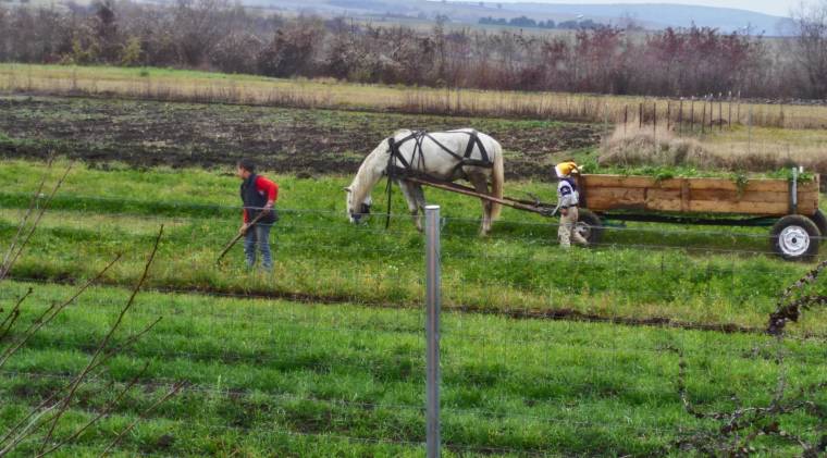 Az iskolaelhagyás ellen is dolgoznak a vidéki tanintézetekben