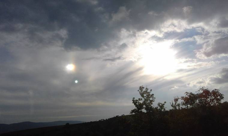 Napkutyát fotóztak Farkaslaka közelében