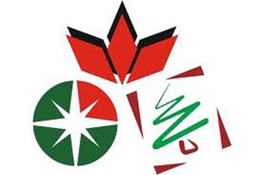 Három magyar politikai alakulat indul saját jelképpel az önkormányzati választásokon