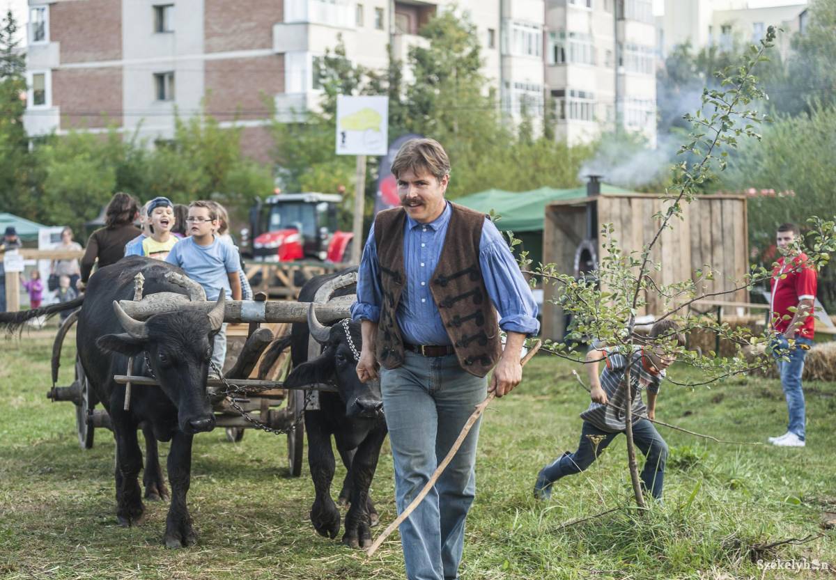 • Fotó: Veres Nándor