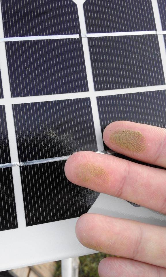 •  Fotó: Nagy István