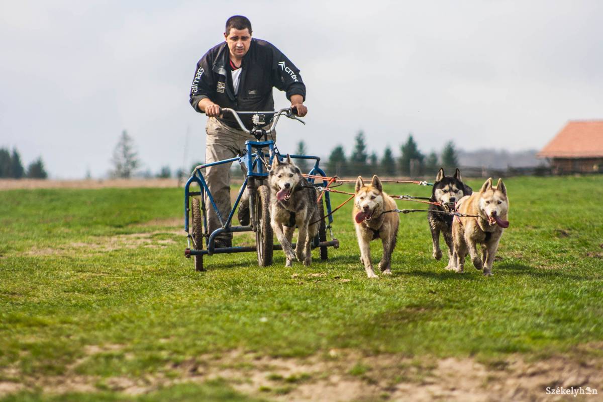 •  Fotó: Tamás Attila