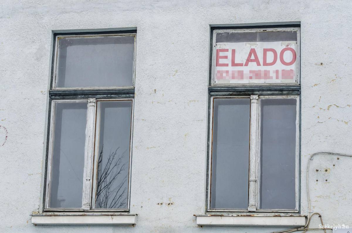 •  Fotó: Veres Nándor
