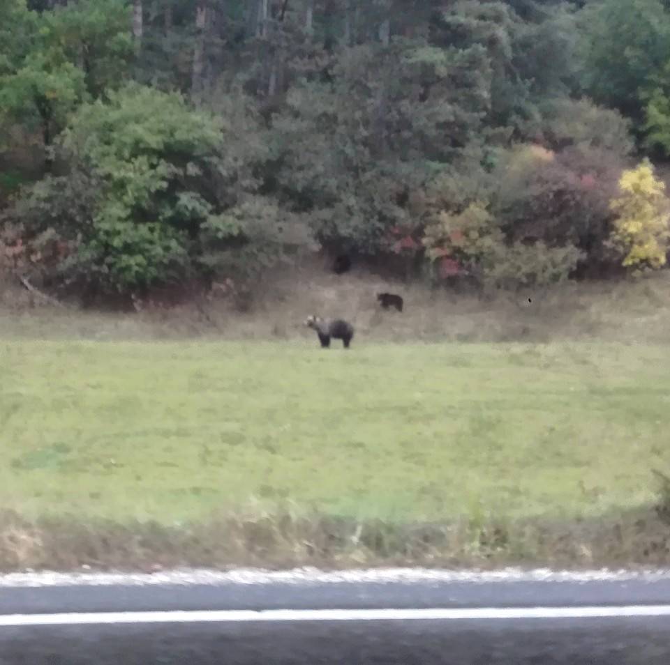 &bullet;  Fotó: László Pál