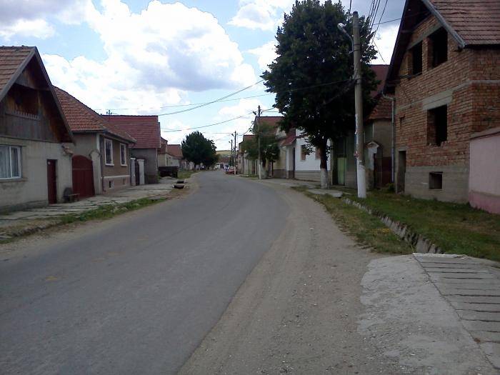 RMDSZ-es polgármestere lett a Brassó megyei Apácának