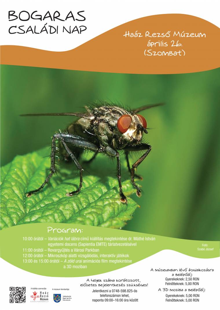 Bogaras családi nap a múzeumban