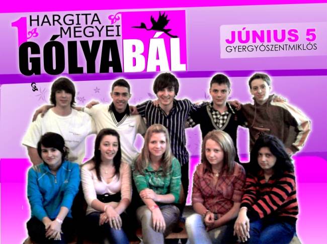 Első Hargita megyei gólyabál