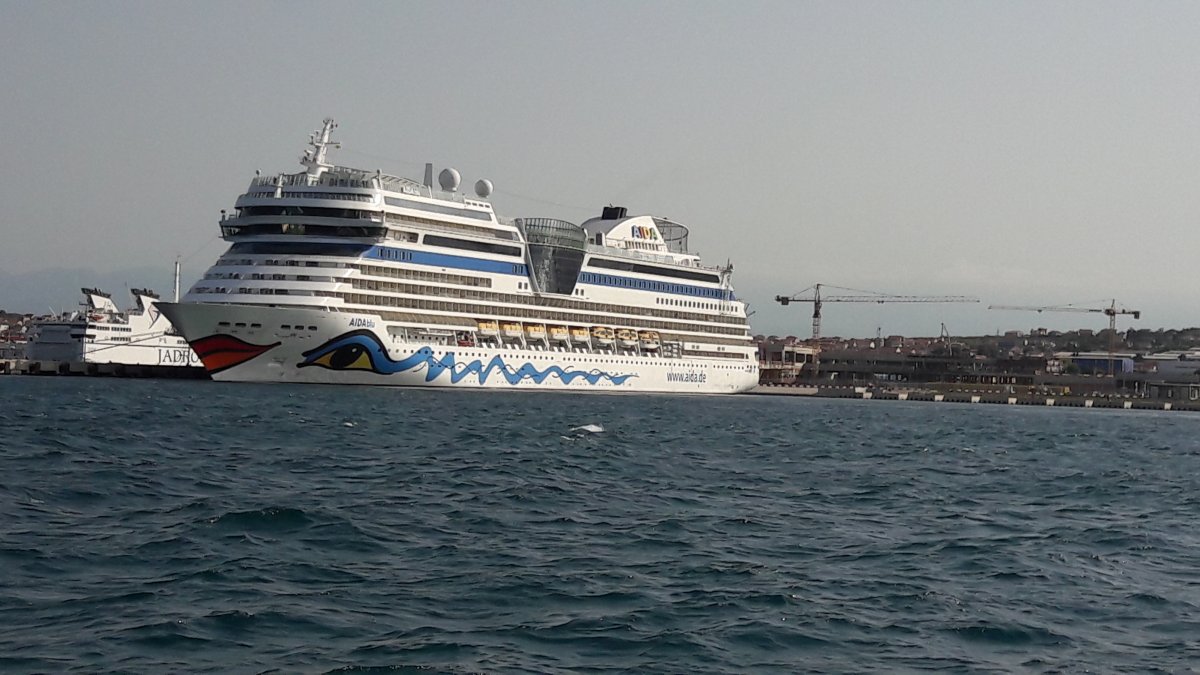 • Fotó: Rostás Szabolcs