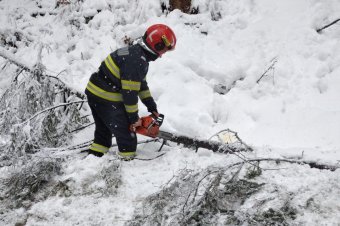 Fa dőlt az útra Hágótő és Récefalva között