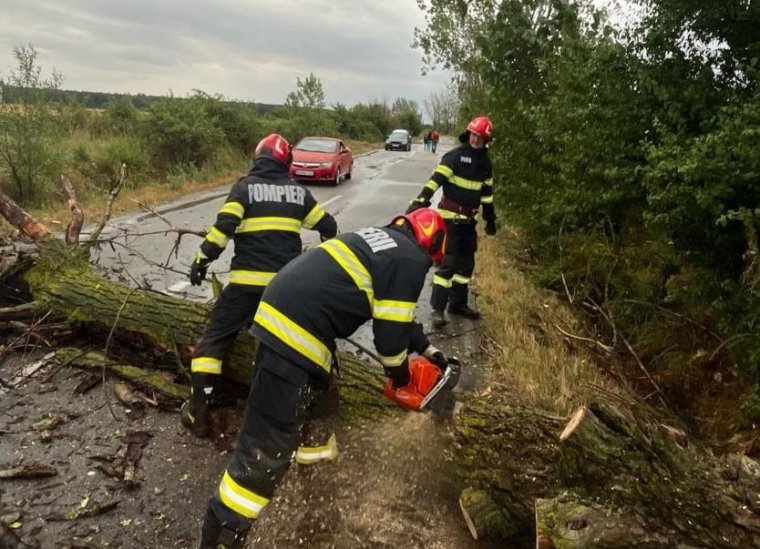 Kolozsváron fa dőlt egy épületre, több helyen is kárt okoztak a vasárnapi viharok Erdélyben