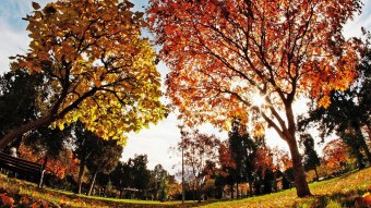 Így tervezzünk a kéthetes időjárás-előrejelzés alapján