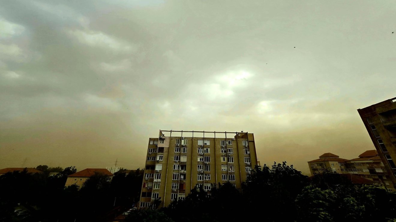 vihar