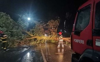 Fákat döntött ki, gépkocsikat rongált meg a vihar az ország több térségében