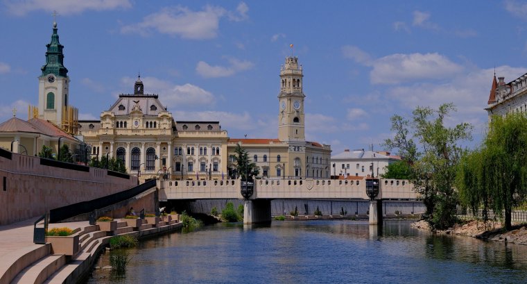 A kánikula mellett penetráns bűz is kínozza a nagyváradiakat