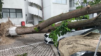 Sok munkát adott a tűzoltóknak a szélsőséges időjárás