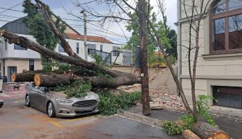 Lesodródott épületelemek, kidőlt fák, megrongálódott autók – ekkora károkat okozott a vihar