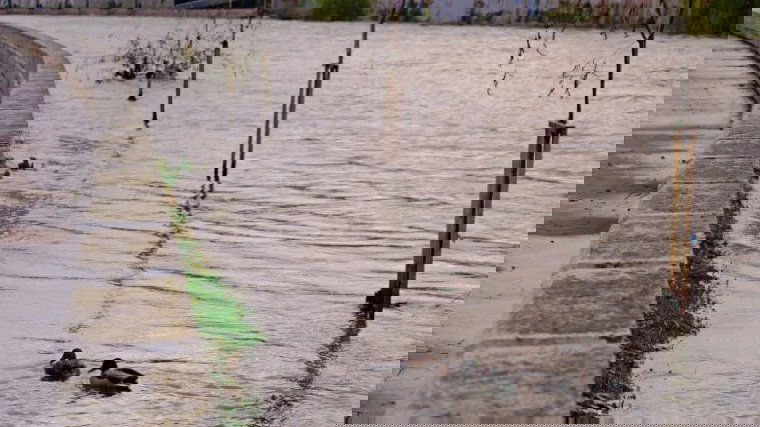 Több folyóra is érvényes árvízkészültség van érvényben