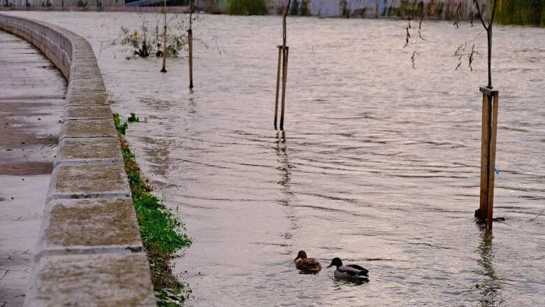 Képünk illusztráció • Fotó: Alexandru Nițescu