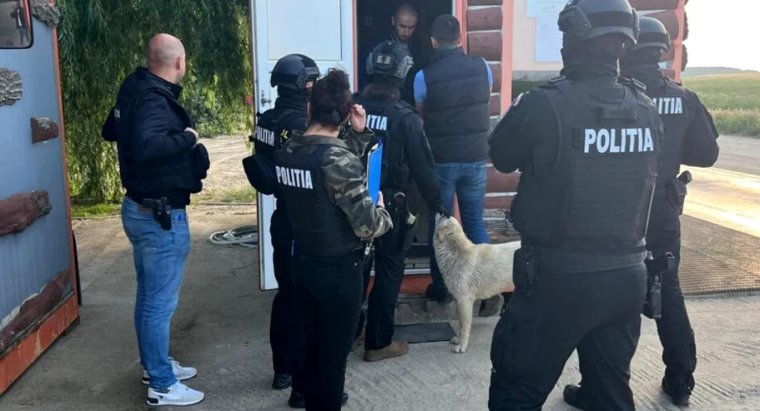 Rablásnak minősített csokoládélopásért vettek őrizetbe egy nagyváradi fiatalembert