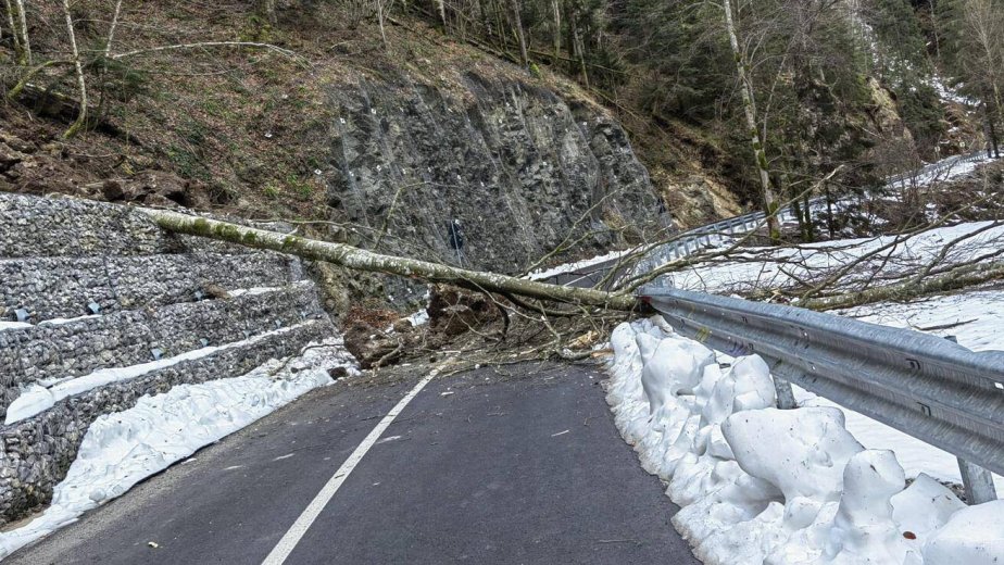 Fa és szikladarabok omlottak az úttestre Biharfüred környékén