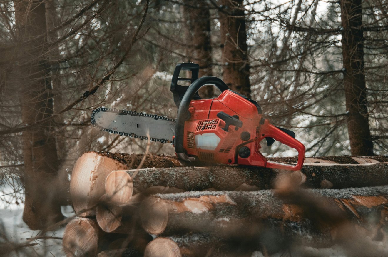 &bullet;  Fotó: Pixabay