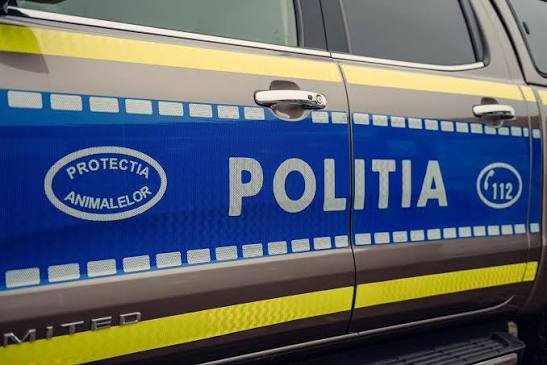 Kutyát sebesített meg fegyverrel, őrizetbe vették a férfit
