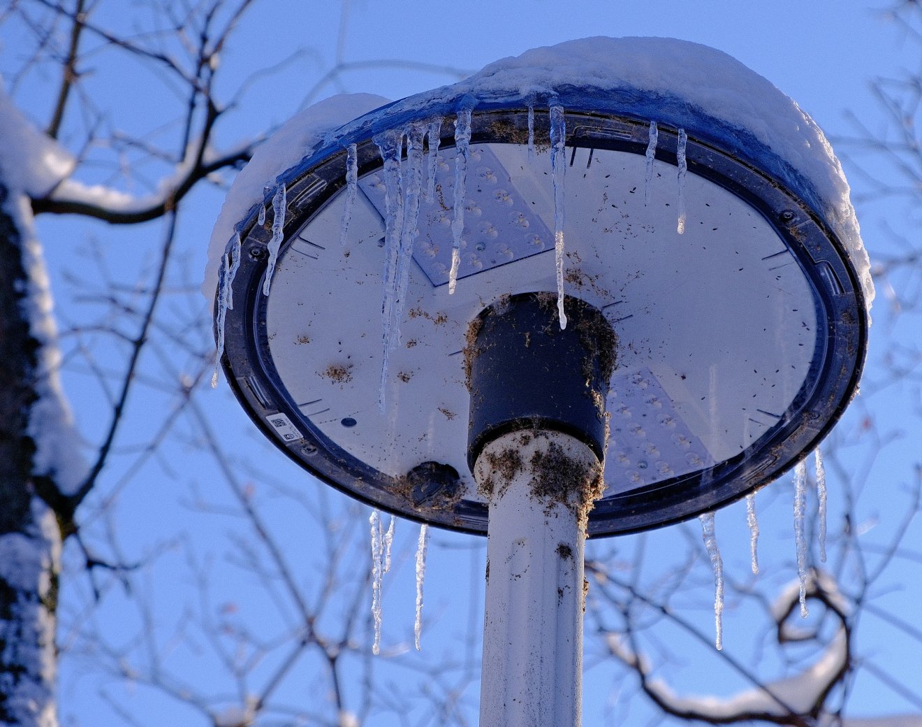 katasztrófavédelem