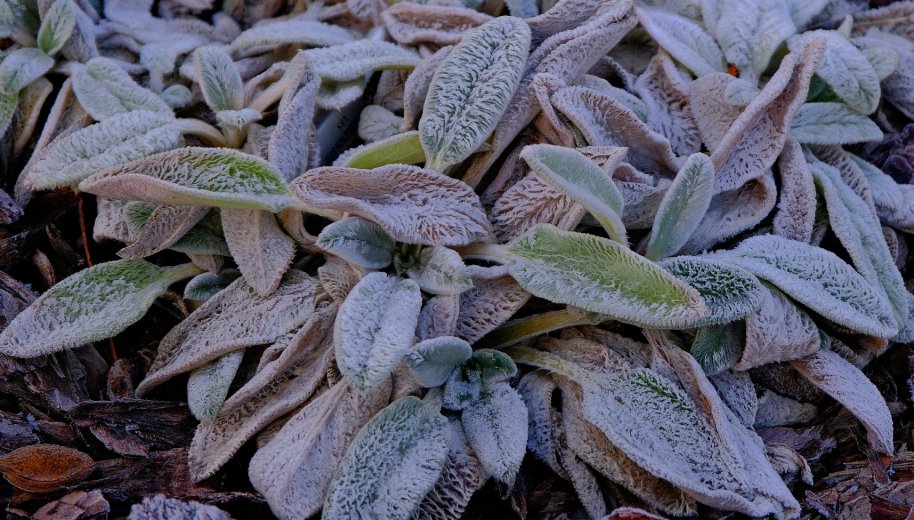 Visszatér a tél: a héten hideg időjárásra kell készülni az ország legtöbb vidékén