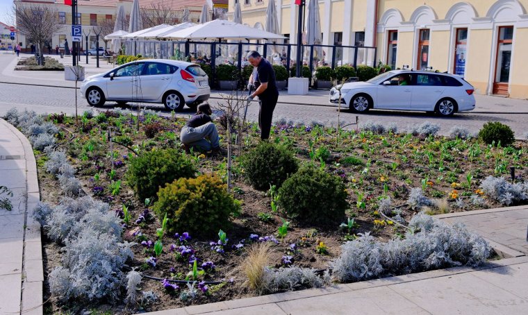 Igazi tavasz a láthatáron, hamarosan erőteljesen felmelegszik az idő