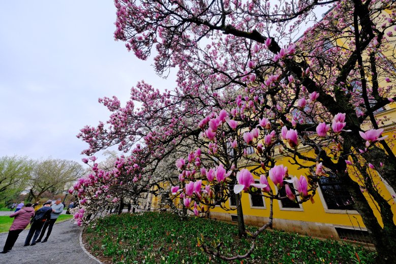Nagy hőmérséklet-ingadozásokra számíthatunk a következő két hétben