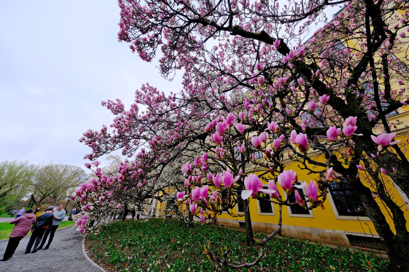időjárás hőmérséklet tavasz