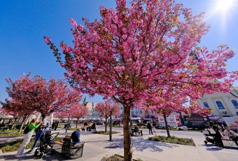 Bár most még didergünk, küszöbön az ilyenkor megszokottnál melegebb időjárás