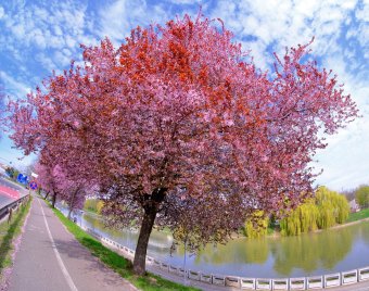 Szeszélyes lesz az áprilisi időjárás, kapunk hideget-meleget