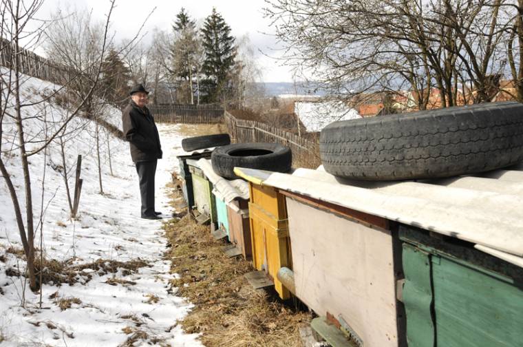 Harminc százalékkal több méz lett az idén